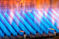 Berwyn gas fired boilers